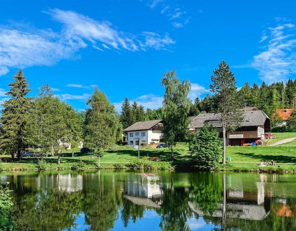 Ferienwohnungen Am Skilift Herrischried ภายนอก รูปภาพ