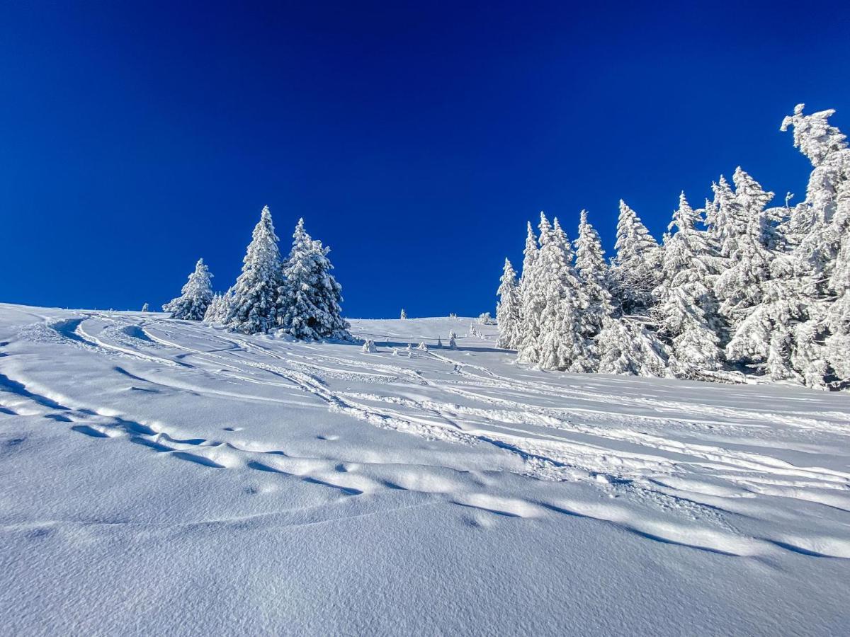 Ferienwohnungen Am Skilift Herrischried ภายนอก รูปภาพ