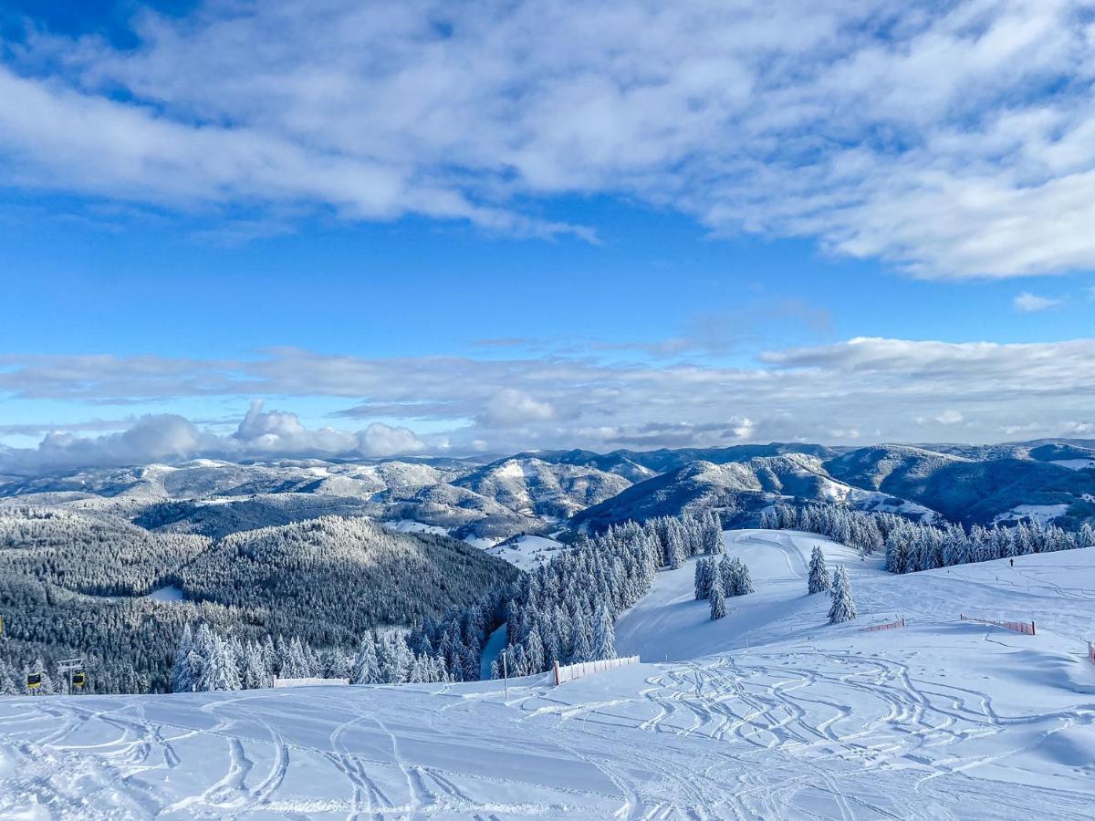 Ferienwohnungen Am Skilift Herrischried ภายนอก รูปภาพ