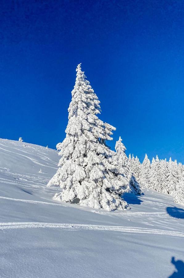 Ferienwohnungen Am Skilift Herrischried ภายนอก รูปภาพ