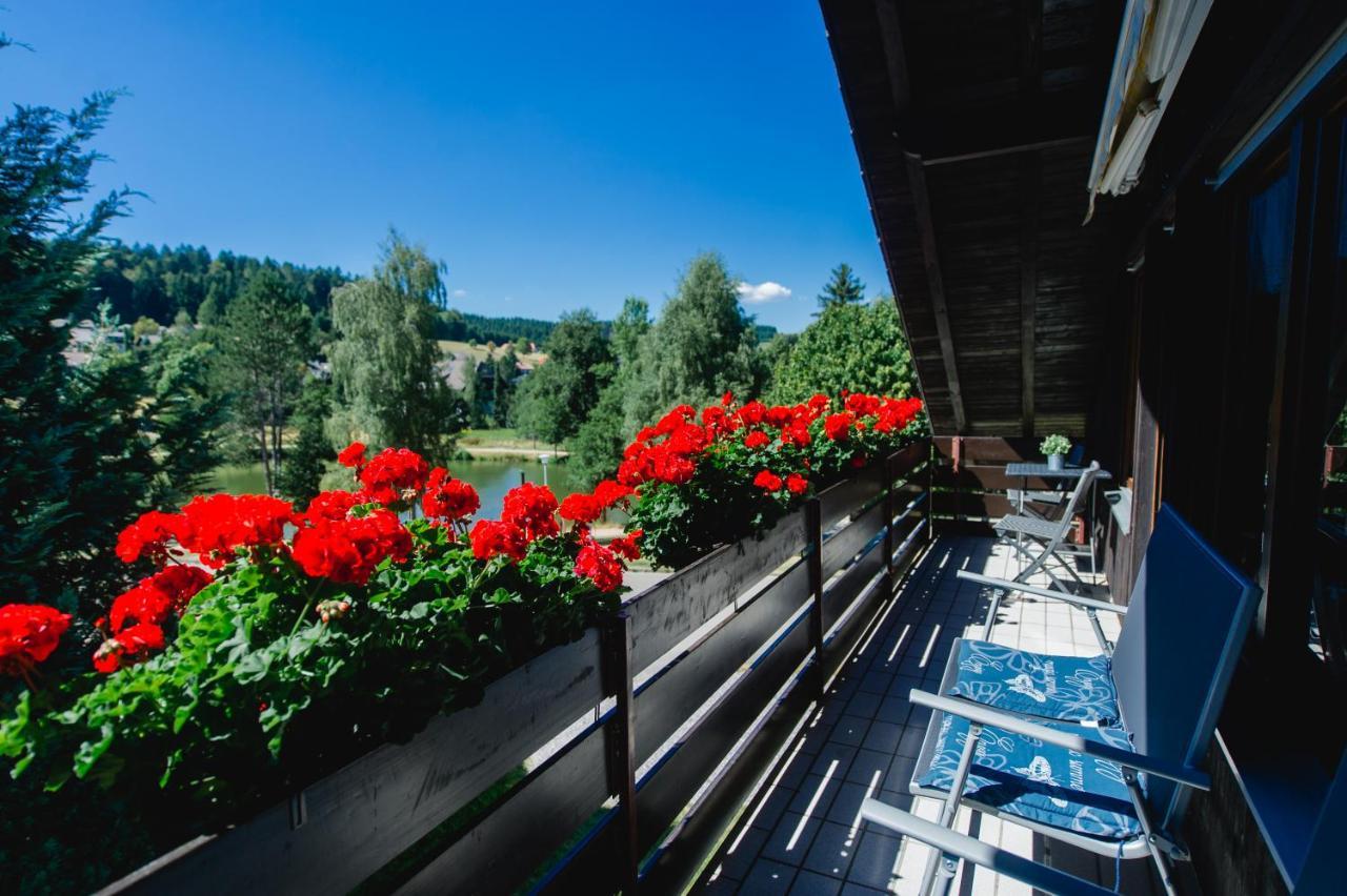Ferienwohnungen Am Skilift Herrischried ภายนอก รูปภาพ