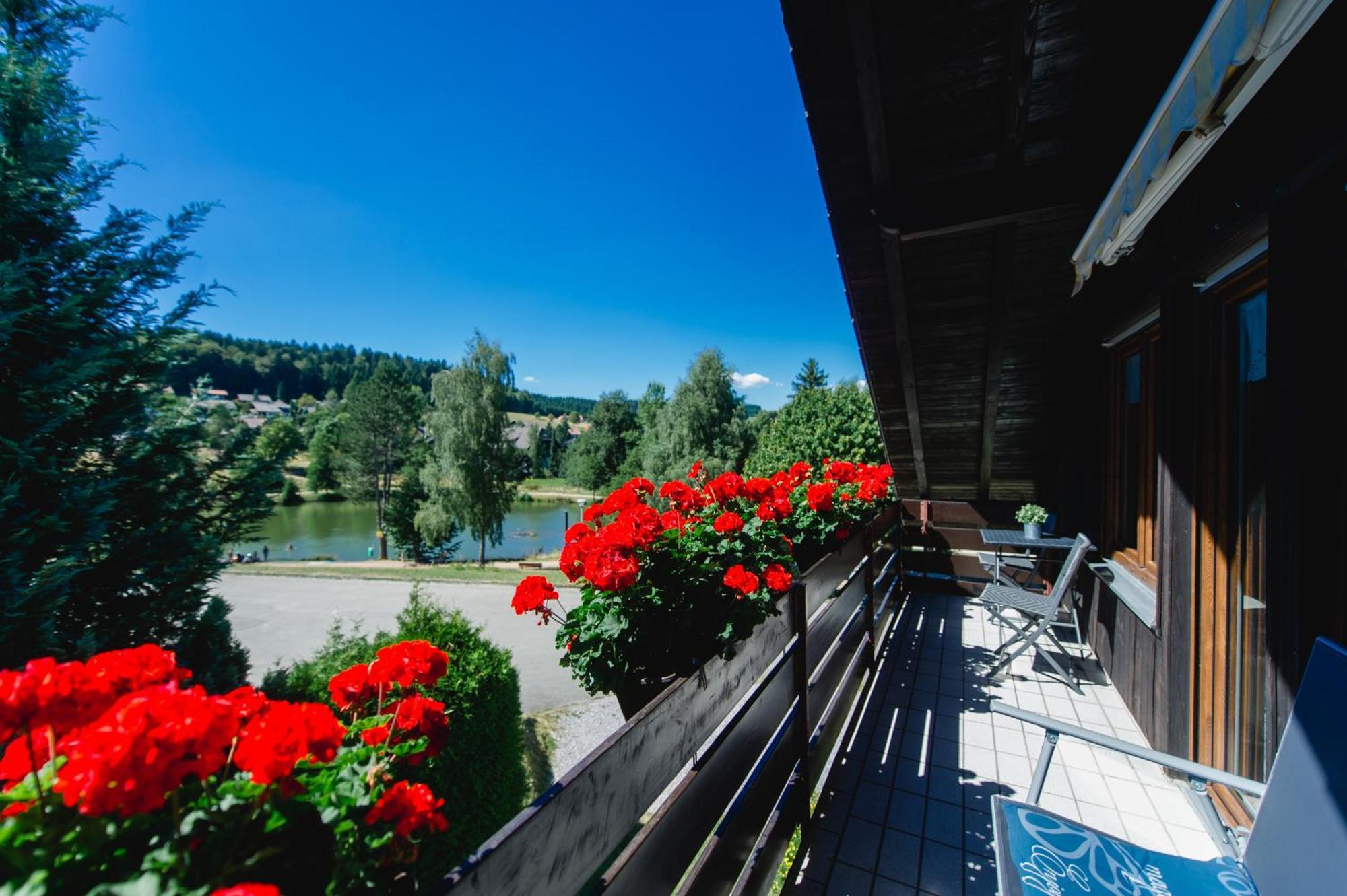 Ferienwohnungen Am Skilift Herrischried ภายนอก รูปภาพ