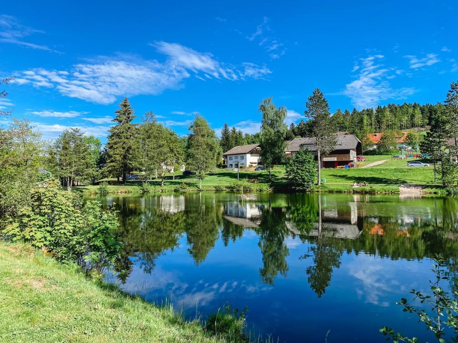 Ferienwohnungen Am Skilift Herrischried ภายนอก รูปภาพ