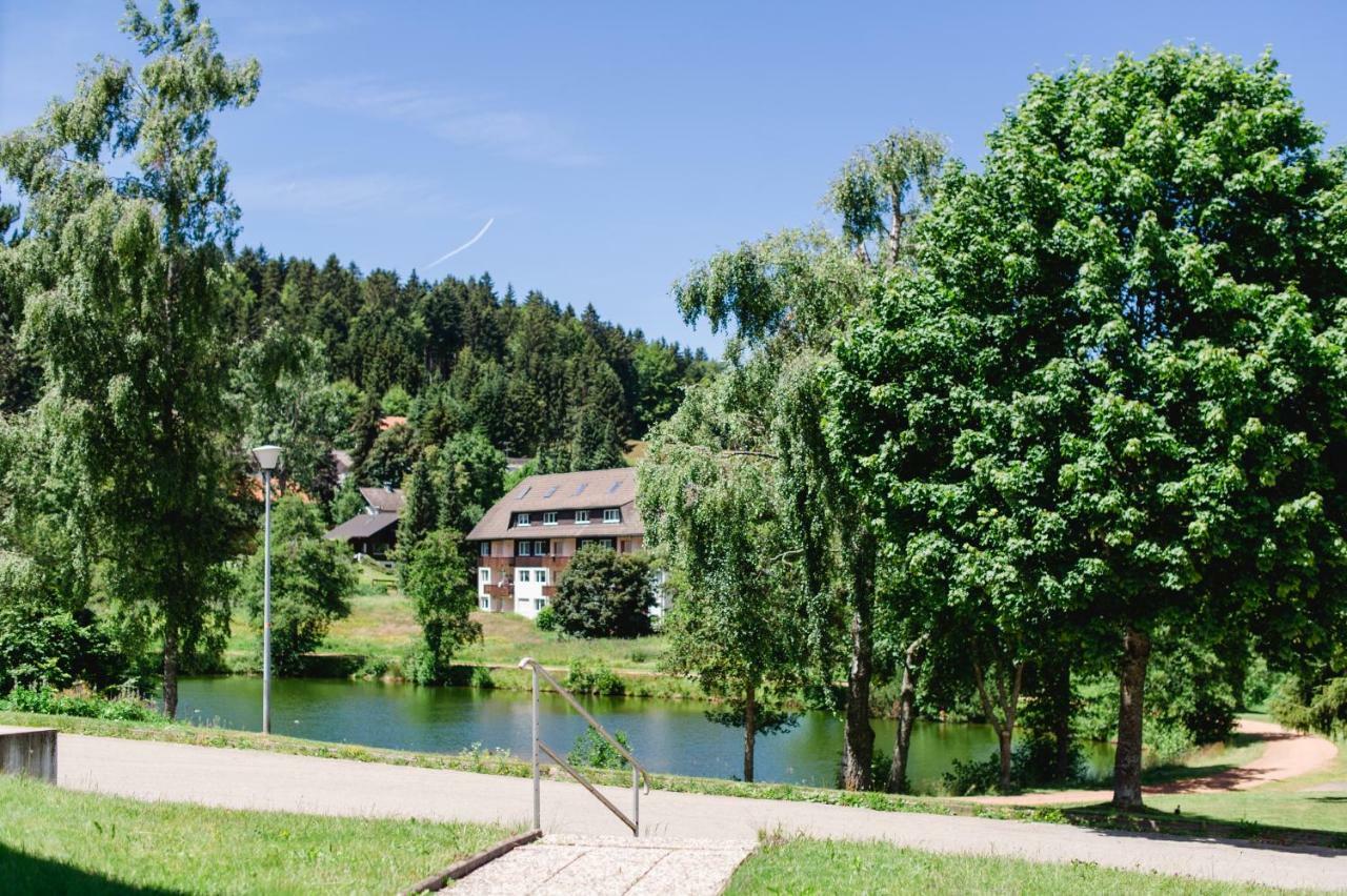 Ferienwohnungen Am Skilift Herrischried ภายนอก รูปภาพ