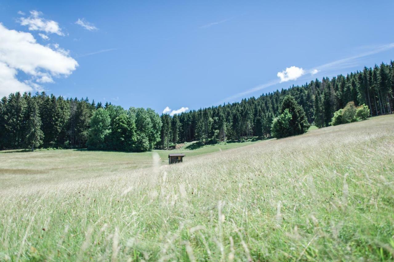 Ferienwohnungen Am Skilift Herrischried ภายนอก รูปภาพ