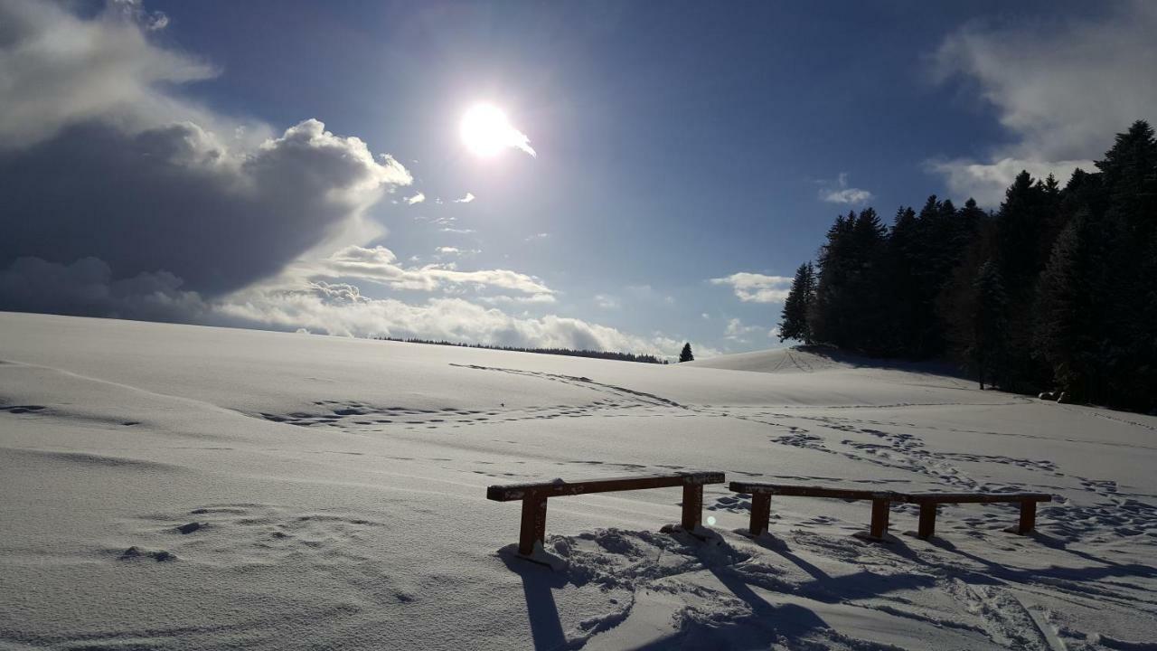 Ferienwohnungen Am Skilift Herrischried ภายนอก รูปภาพ