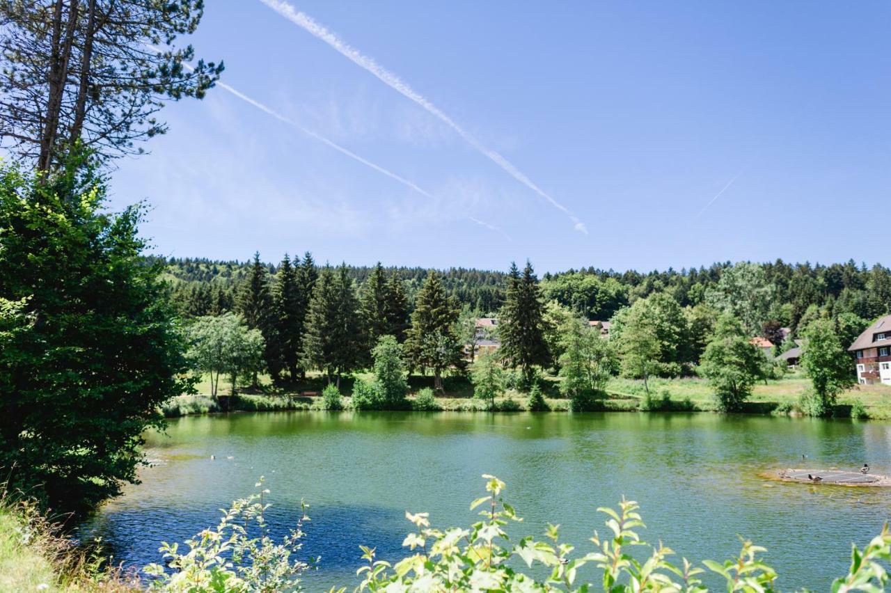 Ferienwohnungen Am Skilift Herrischried ภายนอก รูปภาพ