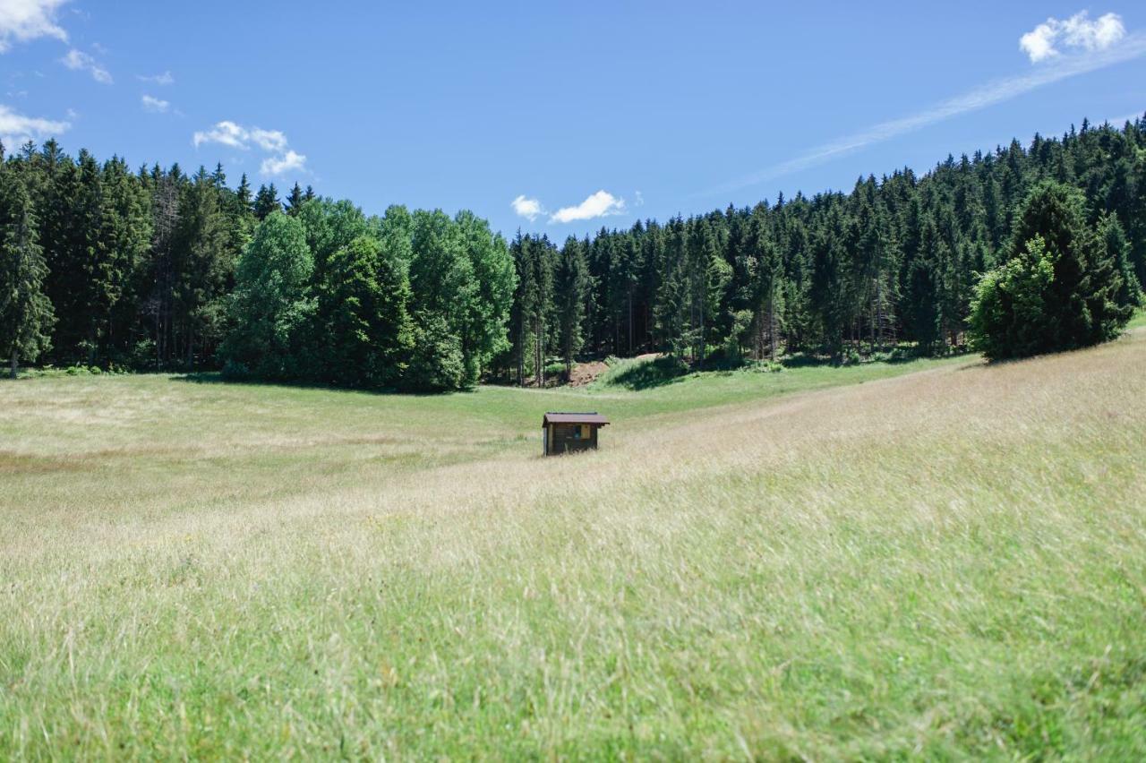 Ferienwohnungen Am Skilift Herrischried ภายนอก รูปภาพ