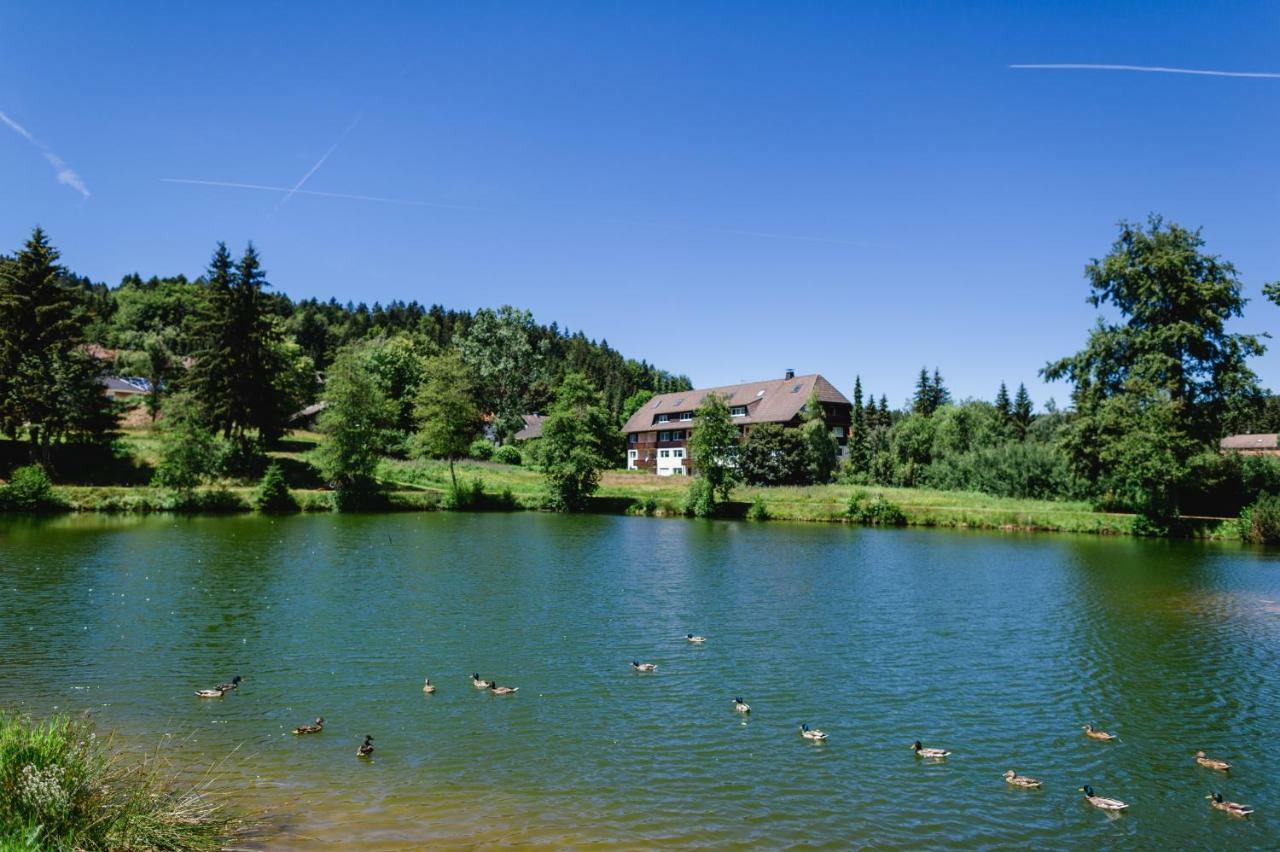 Ferienwohnungen Am Skilift Herrischried ภายนอก รูปภาพ
