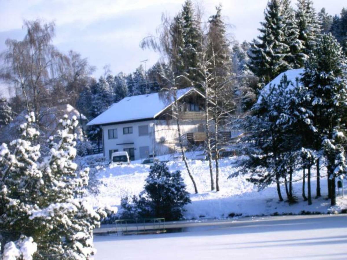 Ferienwohnungen Am Skilift Herrischried ภายนอก รูปภาพ