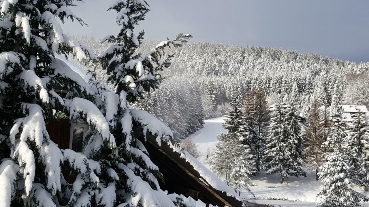 Ferienwohnungen Am Skilift Herrischried ภายนอก รูปภาพ