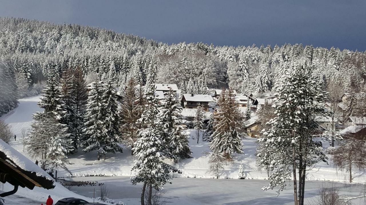 Ferienwohnungen Am Skilift Herrischried ภายนอก รูปภาพ